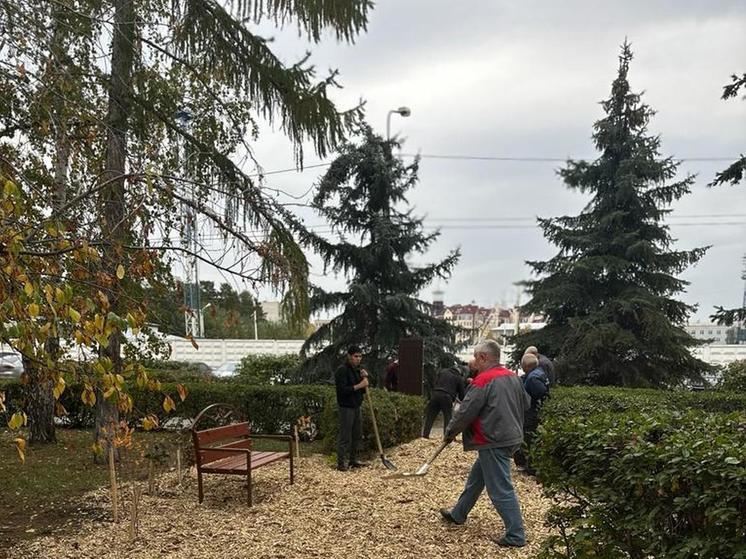 В Омске 3 октября откроют сквер педагогов и наставников