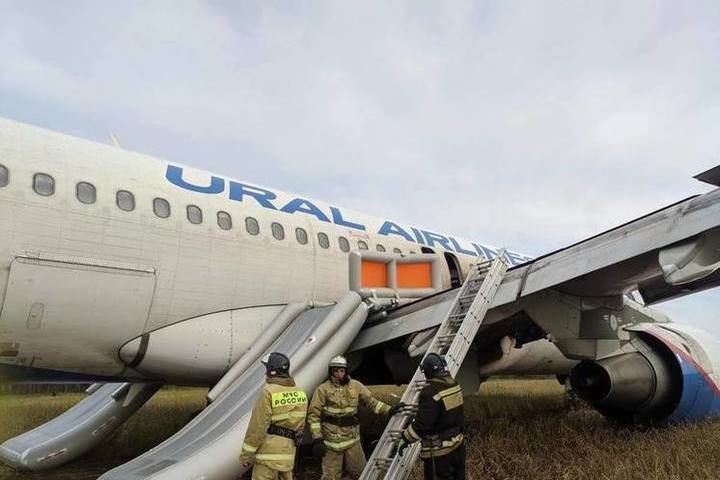 Севший на поле в Убинском районе самолет Сочи-Омск может взлететь с него