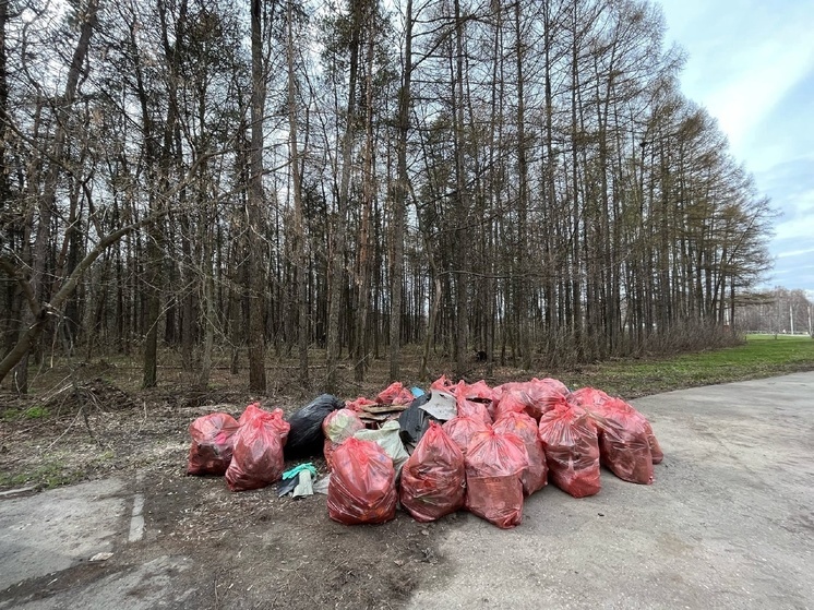 7 октября ЭРА проведёт «Большую уборку» в Дубках под Рязанью