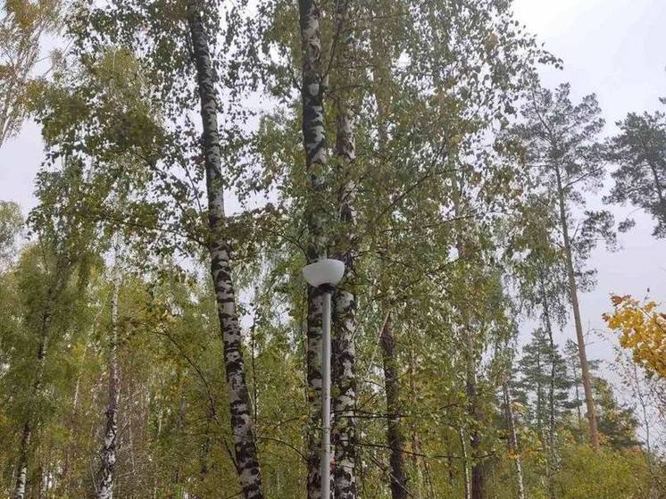 В Заречном новые плафоны уличных фонарей расстреляли из пневматического ружья