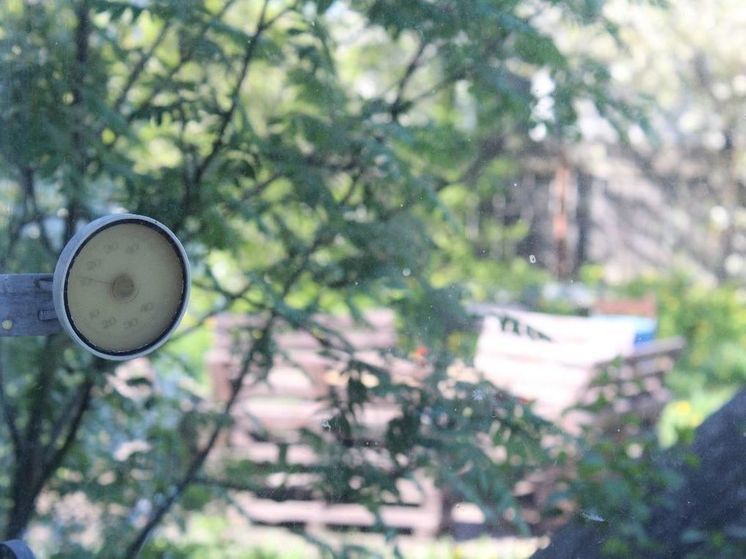 В Курской области 2 октября заканчивается бабье лето