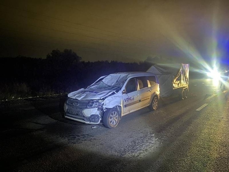 В Челябинске автолюбитель сбил лошадь