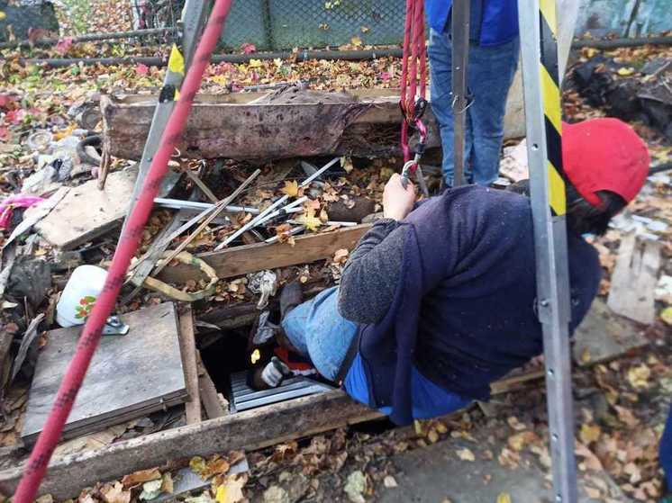 В округе Королев женщина провалилась в погреб на даче