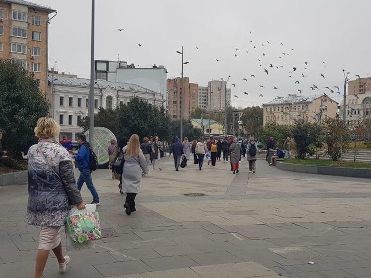 В Лобне неизвестный мужчина ходит по городу с лопатой