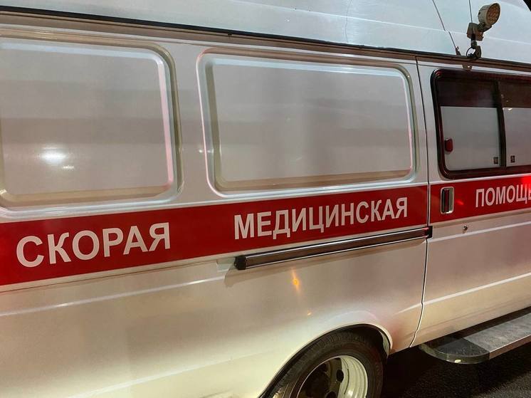 Микроавтобус устроил массовое ДТП на Чуйском тракте