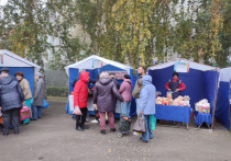 7 октября в Барнауле пройдут снова продовольственные ярмарки