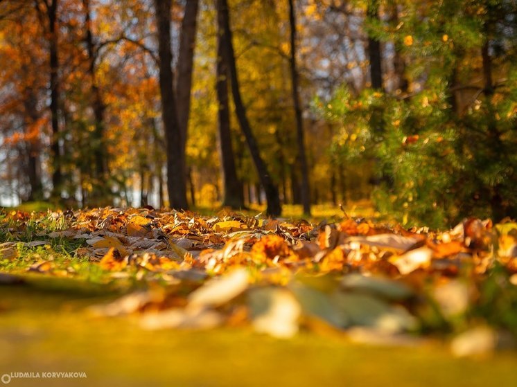 Прошедший сентябрь стал самым теплым в Карелии за 157 лет