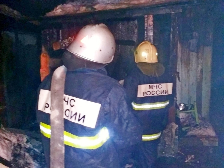 На месте пожара под Воронежем нашли тела двух женщин