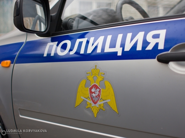 Нетрезвого похитителя велосипеда задержали в Петрозаводске