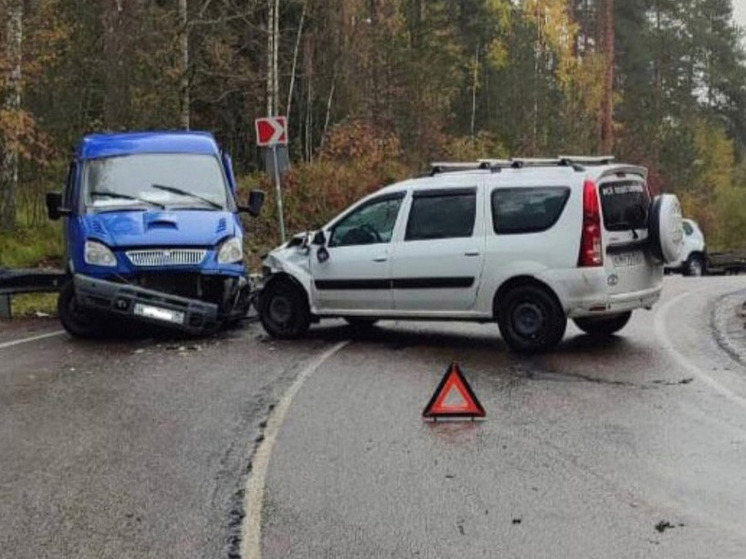 Ондатра в карелии фото