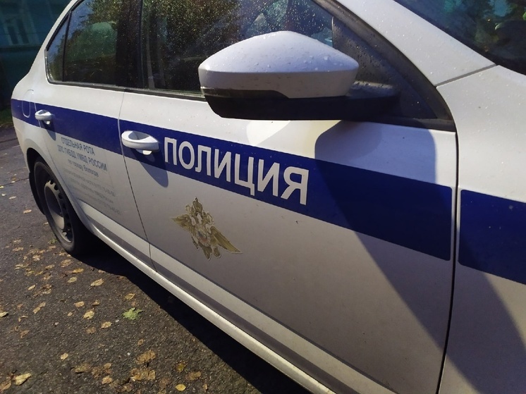 Квартирную кражу раскрыли в Череповце
