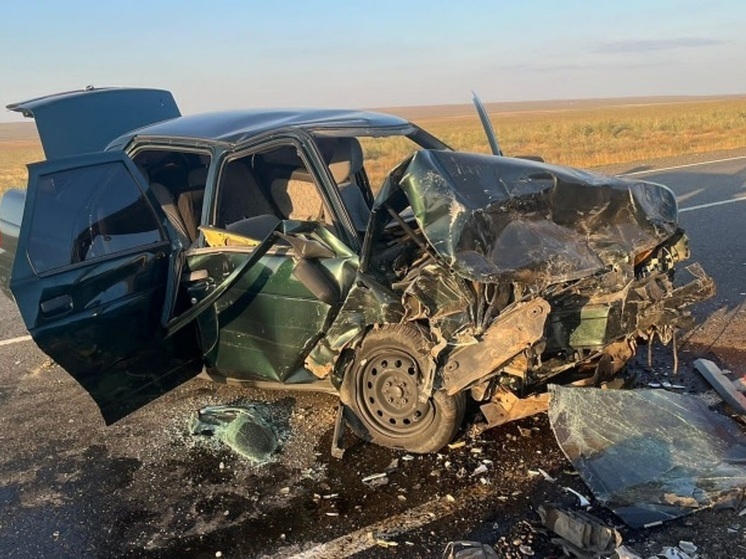 В Целинном районе Калмыкии в ДТП погиб местный житель