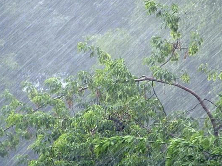 Сильные дожди с грозами прогнозируются сегодня в Сочи