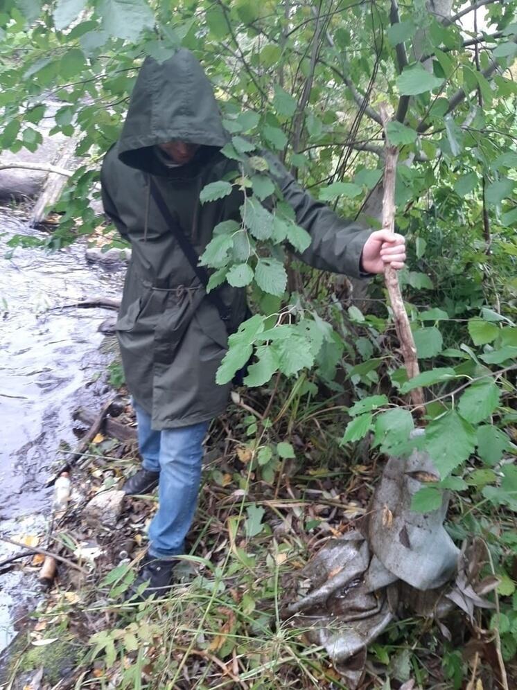 Минприроды Карелии нашло источник масляных пятен на Лососинке