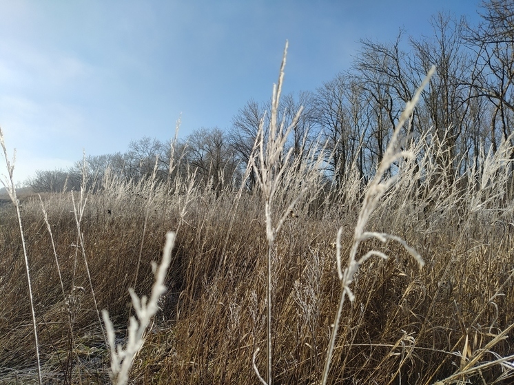 Первые осенние заморозки ожидаются в ЛНР