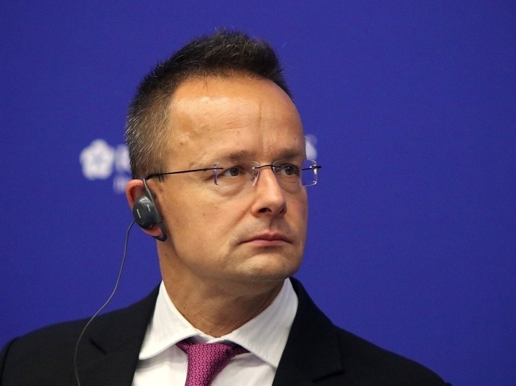 МИД Венгрии раскритиковал обвинения о вмешательстве России в словацкие выборы