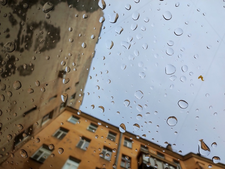 Дожди и тепло до +16 градусов: какая погода ждет Петербург 3 октября