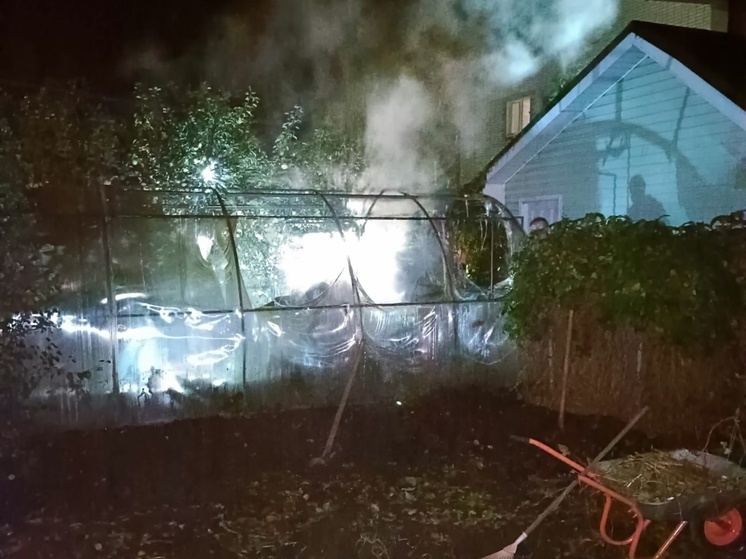 Теплица с дровами сгорела в поселке Карелии