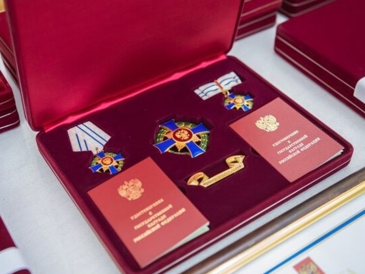 Две новгородские многодетные семьи удостоены государственных наград
