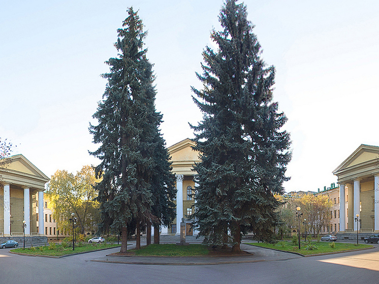 Тз фото в ссылку