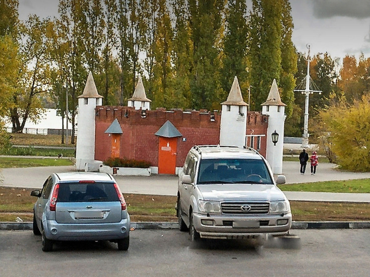 Коммерческий туалет на Петровской набережной в Воронеже снесут