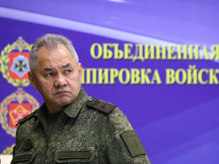 Шойгу назвал отличившиеся в последних боях части российской армии