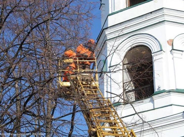 В Рязани 9,6 тысячи деревьев признаны аварийными