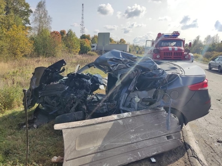 На трассе Липецк-Данков в ДТП погибли два человека