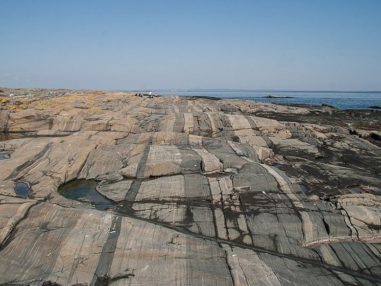 В поисках серьги семья норвежцев наткнулась на артефакты эпохи викингов