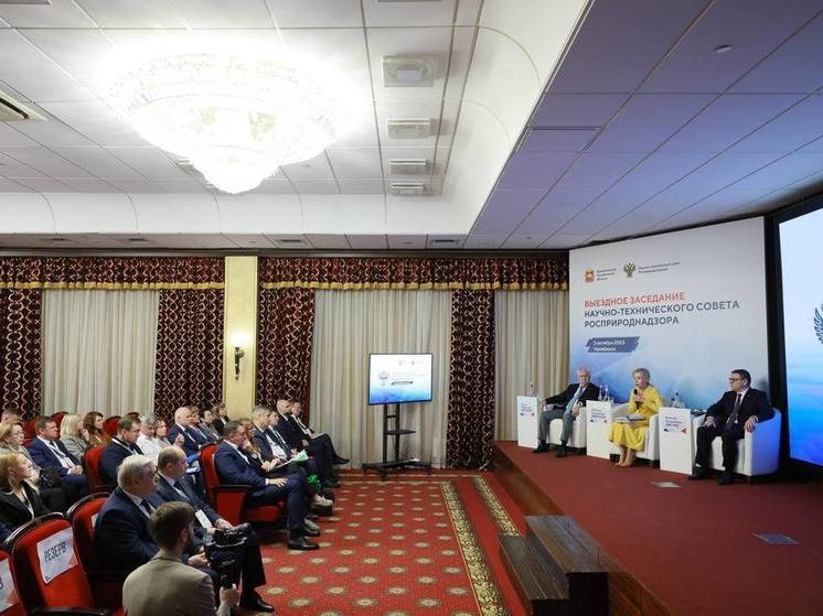 Глава Росприроднадзора оценила экологические практики Челябинской области
