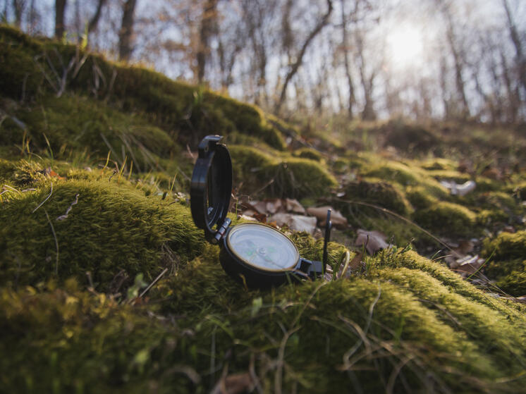 Почти 30 человек спасли поисковики «Лизы Алерт» за сентябрь в Карелии