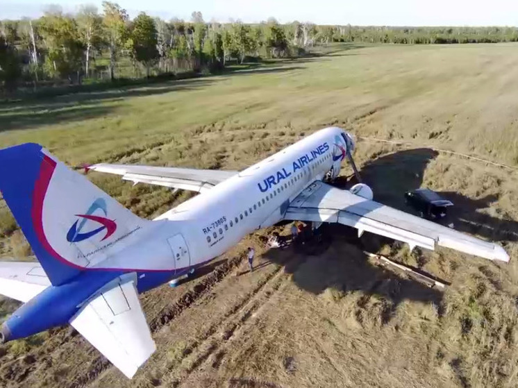 «Уральские авиалинии» думают, как убрать самолет с поля под Новосибирском