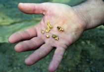 В Якутии полиция изъяла у жителя Амурской области 17 килограммов 870 граммов золота в ходе проверки его автомобиля