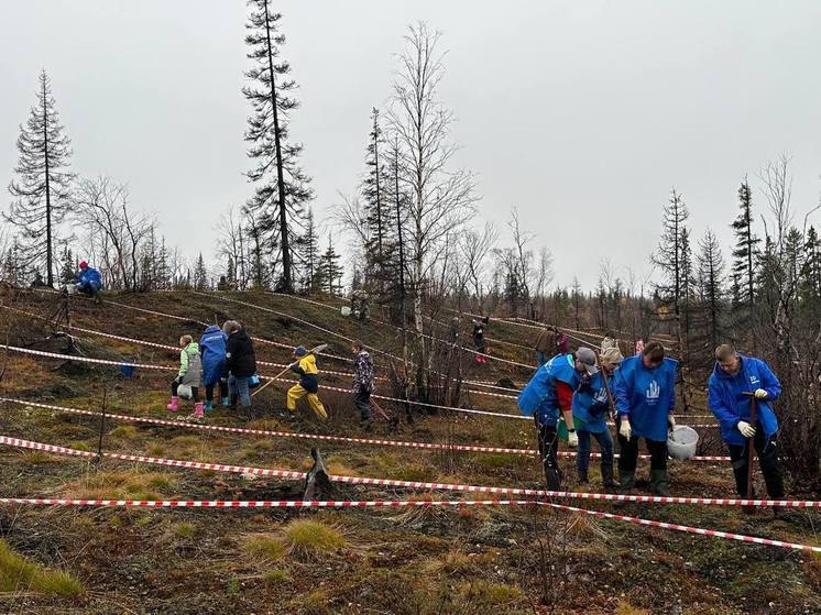 В Мурманской области завершилась Всероссийская акция «Сохраним лес»