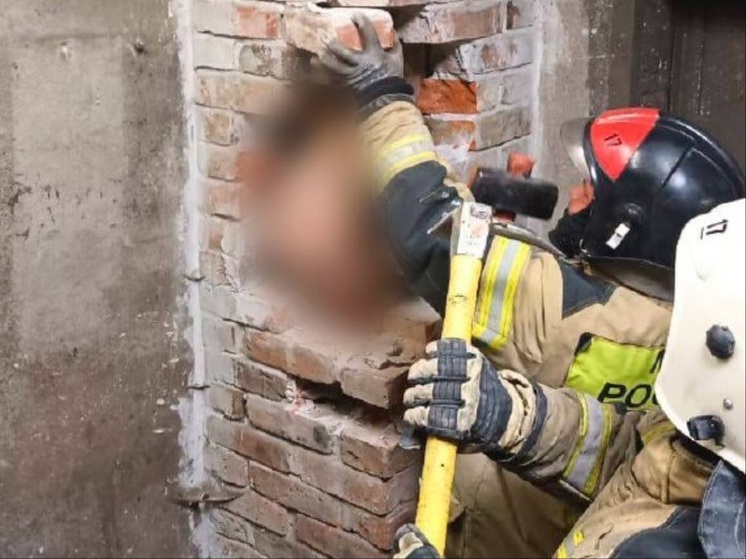 Голого мужчину обнаружили в дымоходе в Калининградской области