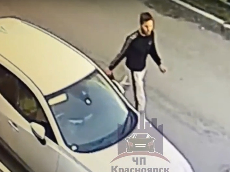 В Красноярске мужчина украл телефон у 10-летнего ребенка после просьбы позвонить
