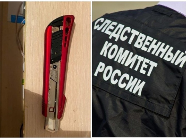 Школьница, изрезавшая одноклассницу под Новосибирском, подражала убийцам из анимэ