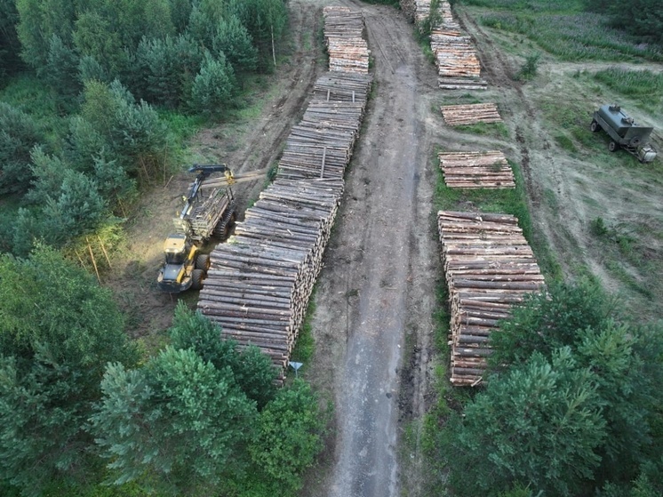 Вохомское лесничество получило на вооружение квадрокоптер
