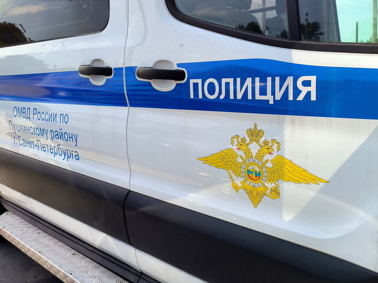 В Петербурге незнакомец изнасиловал 12-летнюю школьницу