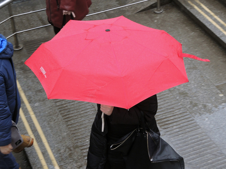 Дождь и порывистый ветер ожидается в Подмосковье до конца дня