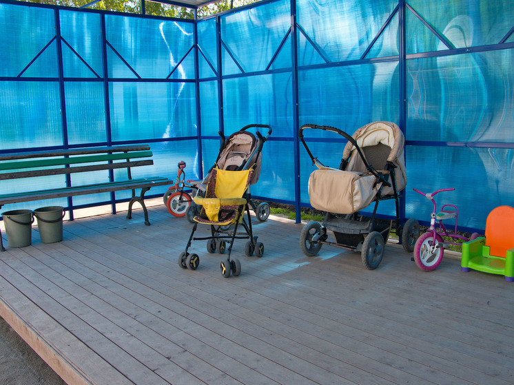 Следователи проверят челябинцев после опасных трюков с детской коляской