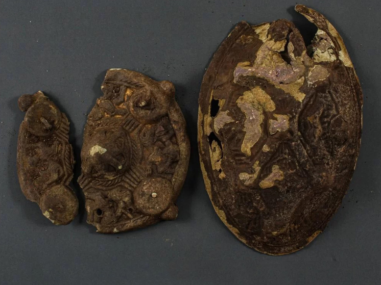 Искавшая потерянную серьгу семья нашла сокровище викингов возрастом 1200 лет
