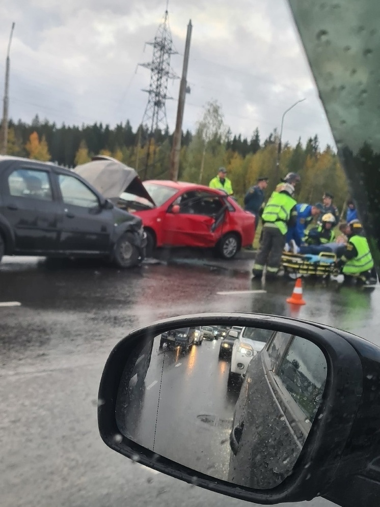 Ондатра в карелии фото