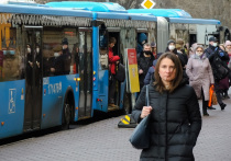Жительница Санкт-Петербурга впала в кому из-за того, что автобус, в котором она ехала, резко затормозил