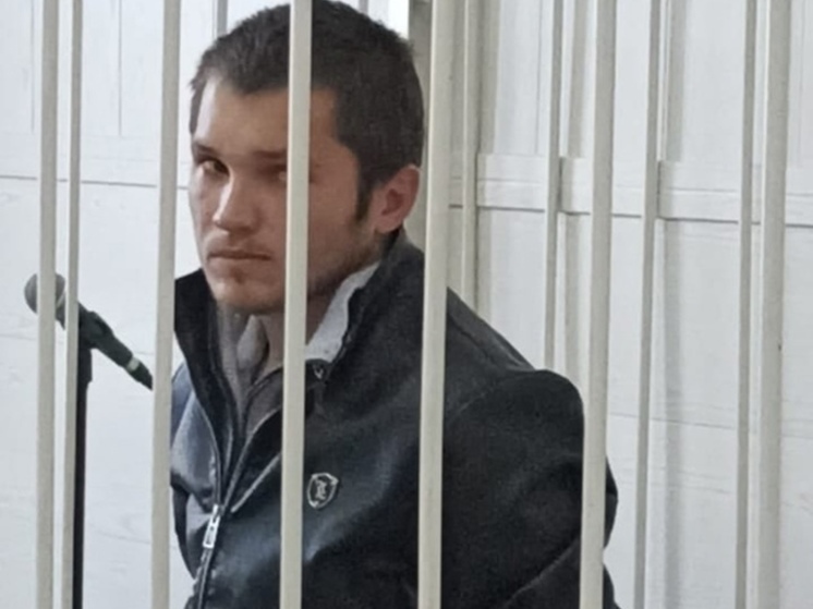 Под Новосибирском отца, ударившего 3-месячную дочь о диван, поместили под арест