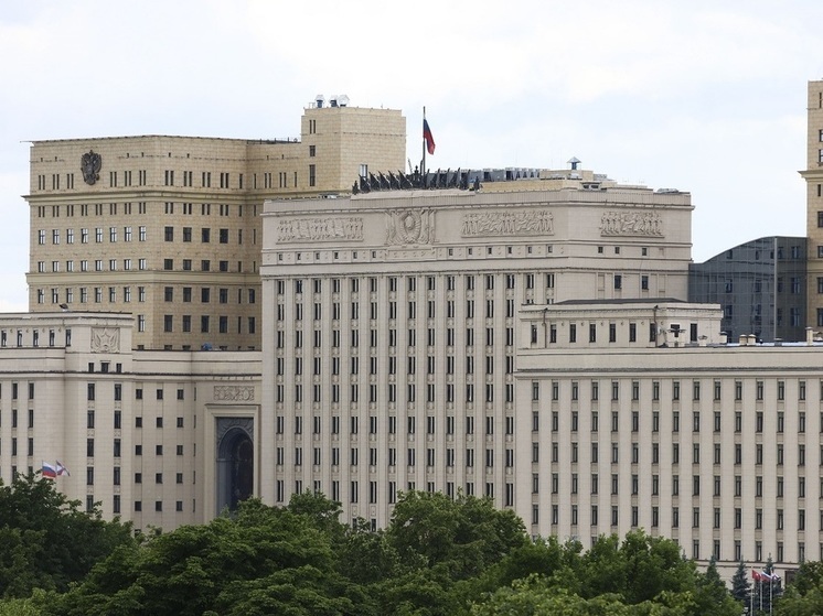 В Минобороны сообщили о сбитом в Днепропетровской области украинском МиГ-29