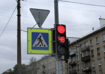 Тренер по акробатике попала под автобус в Василеостровском районе Петербурга. Как оказалось, девушка пыталась быстро перейти дорогу на «красный» для пешеходов сигнал – это можно увидеть на видеозаписи.