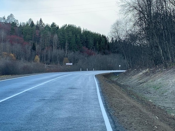 Ондатра в карелии фото