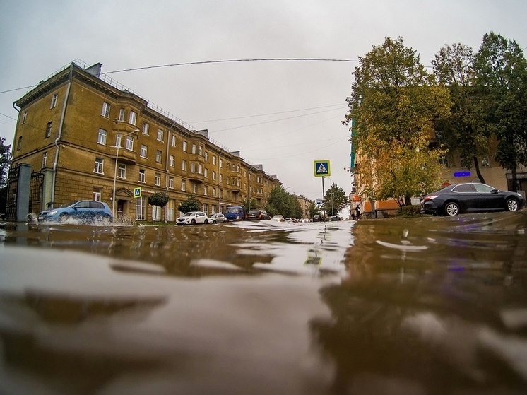 Власти Петрозаводска пообещали ликвидировать лужу – достопримечательность