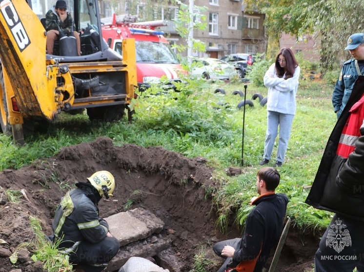 В Ярославле вскрыли теплотрассу, чтобы выловить блудного кота